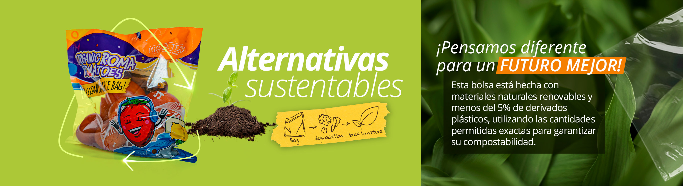 SUSTAINABLE%20ALTERNATIVES