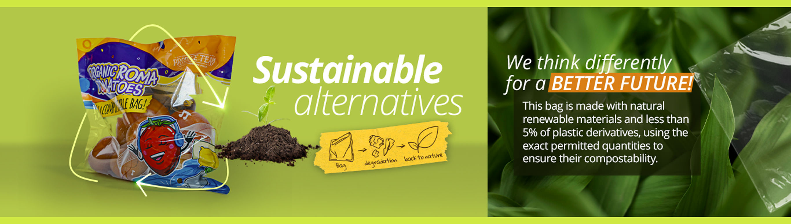 SUSTAINABLE%20ALTERNATIVES